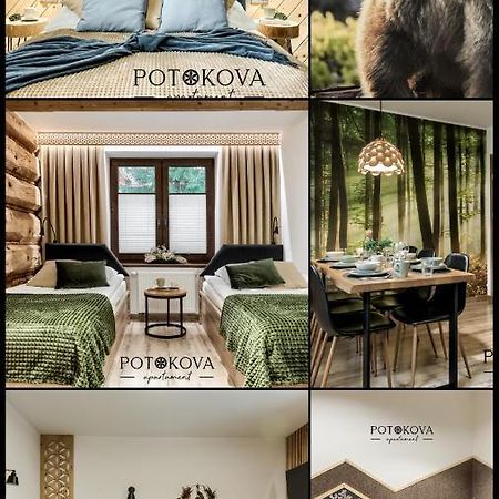 Potokova Apartament Centrum Zakopane Kültér fotó