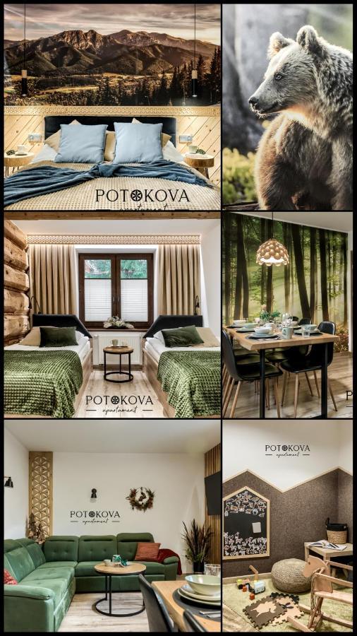 Potokova Apartament Centrum Zakopane Kültér fotó